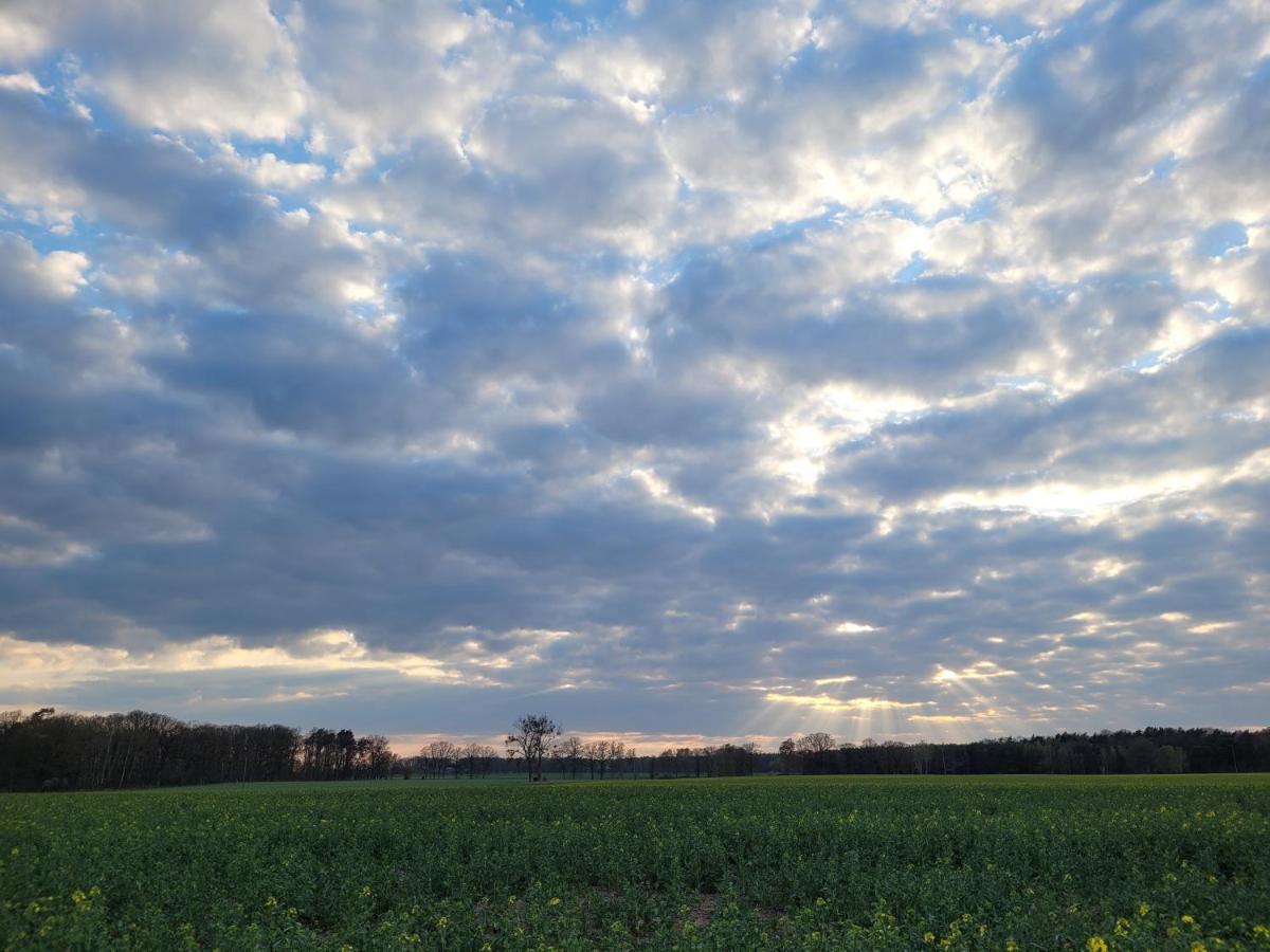 Maerchenhaft Urlauben Auf Dem Alpakahof Appartamento Rambow