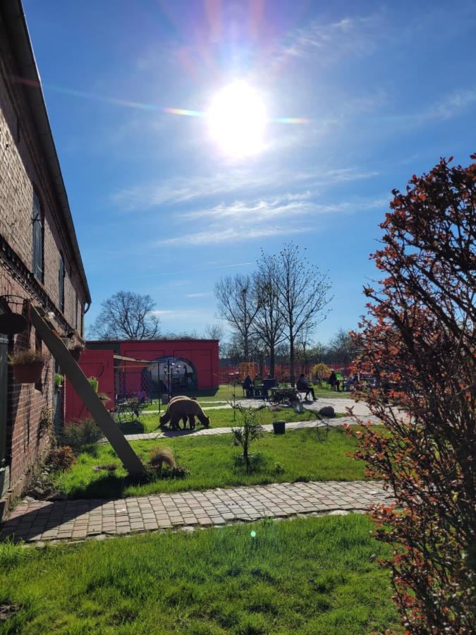 Appartement Maerchenhaft Urlauben Auf Dem Alpakahof Rambow