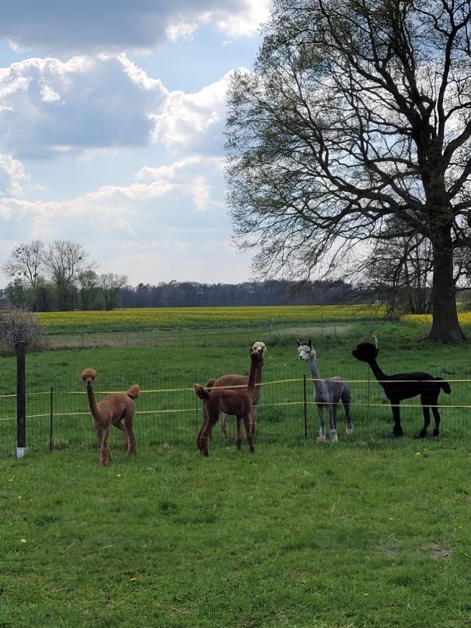 Appartement Maerchenhaft Urlauben Auf Dem Alpakahof