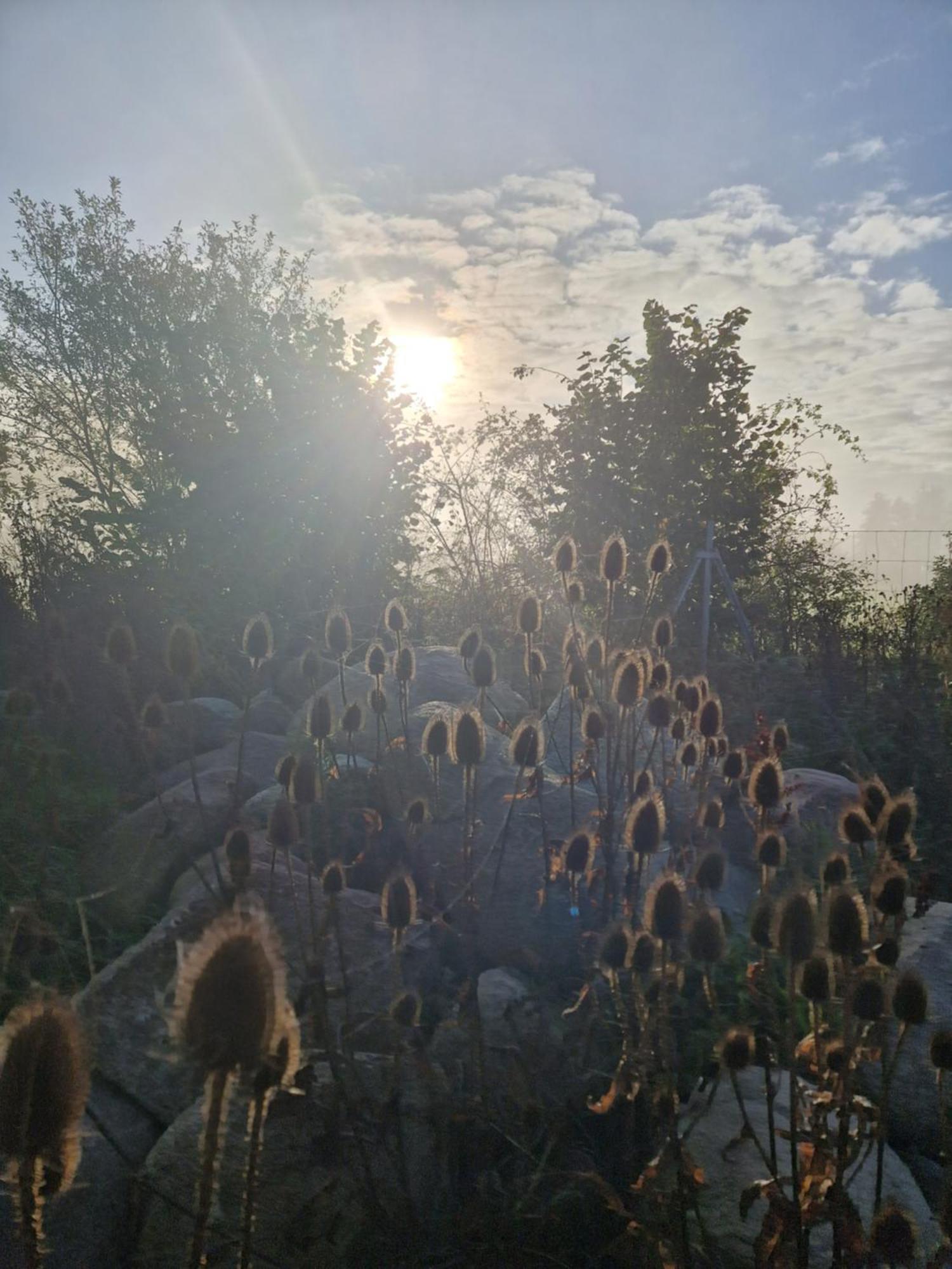 Maerchenhaft Urlauben Auf Dem Alpakahof *