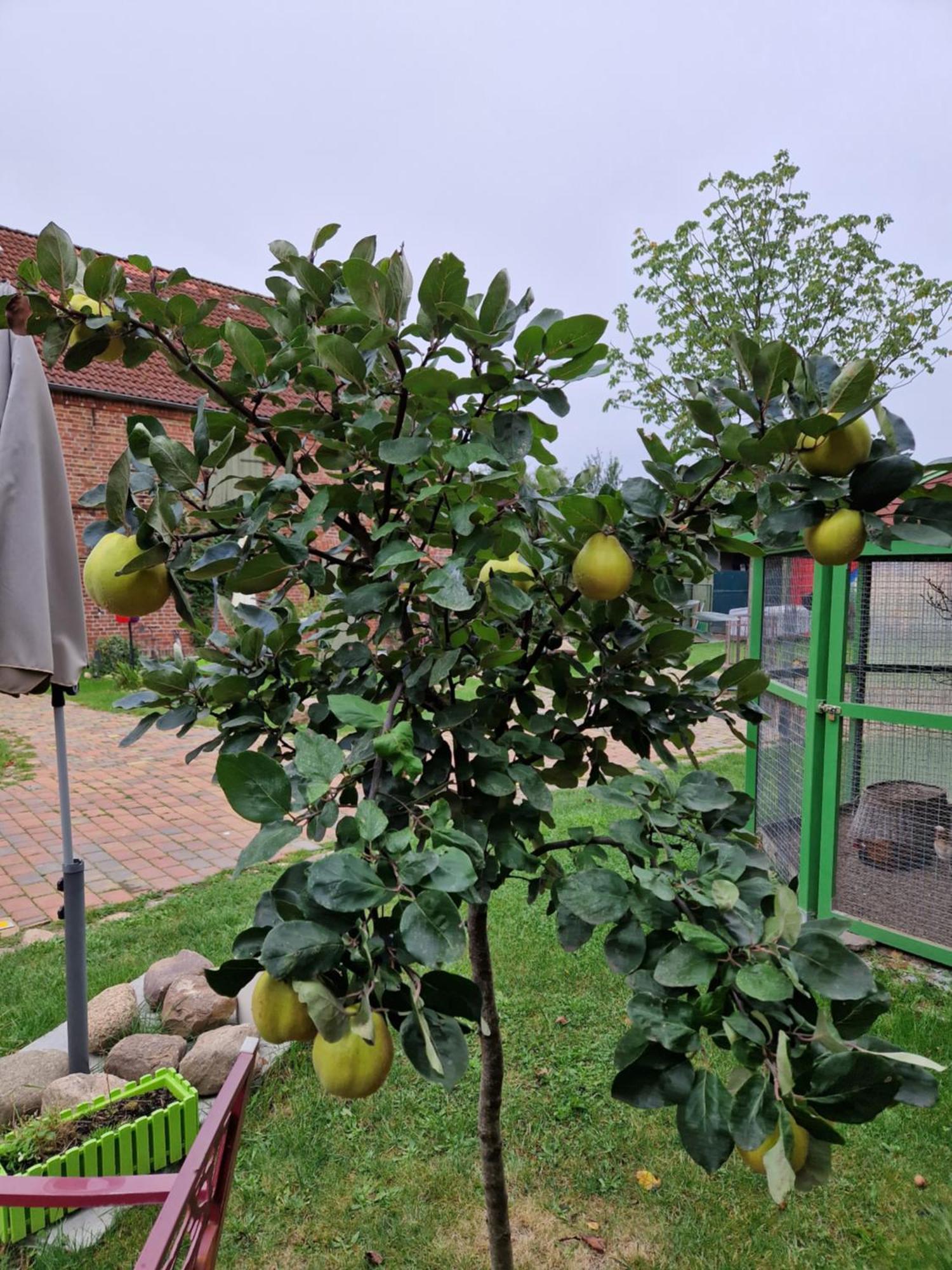 Maerchenhaft Urlauben Auf Dem Alpakahof Appartement